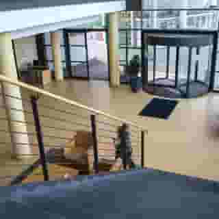 relexa Hotel Ratingen City, 6 of 6
