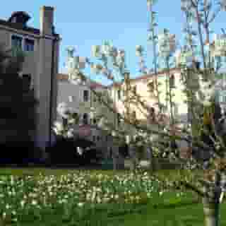 Bauer Palladio Hotel & Spa, 5 of 5