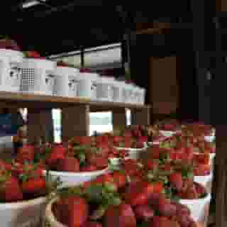 Hilton Garden Inn Atlanta Downtown, 4 of 5