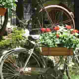 Lh Albergo Paradiso, 4 of 5