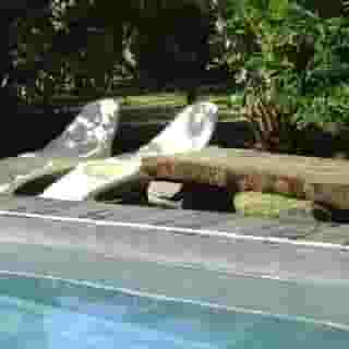 Marlin Creek, 3 of 5