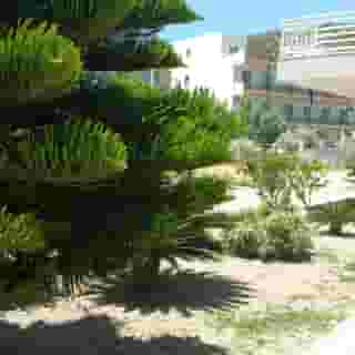 Faliraki Dream, 3 of 5