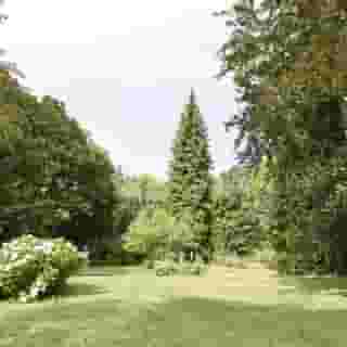 Dandelion Como Suites & Park, 5 of 5