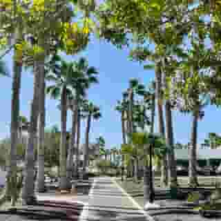 Palmeras Garden, 4 of 5