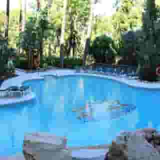 Monarque Sultan, 1 of 5