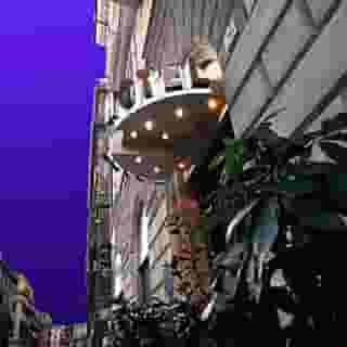 Hotel Camelia, 4 of 5