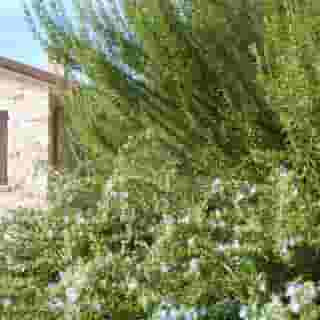 B&b Lavanda e Rosmarino, 3 of 5