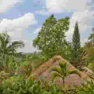 COMO Uma Ubud, 3 of 5