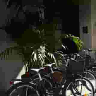 Ofelias Hotel, 1 of 5