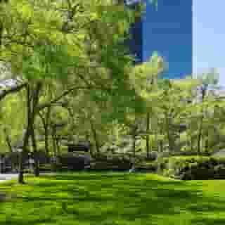 Sheraton Vancouver Wall Centre, 2 of 5