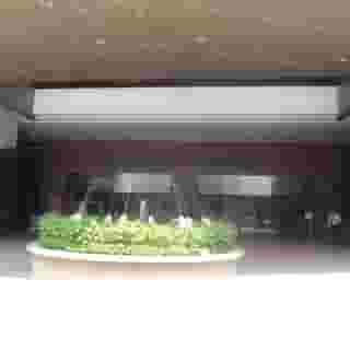 Standard Suit At Times Square, 3 of 5