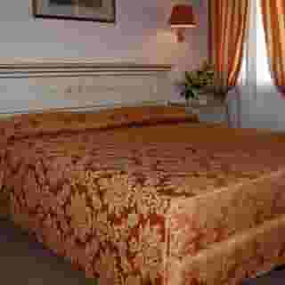 Ambassador Tre Rose, 4 of 5