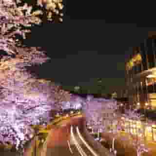APA Hotel Roppongi Eki-mae, 4 of 5