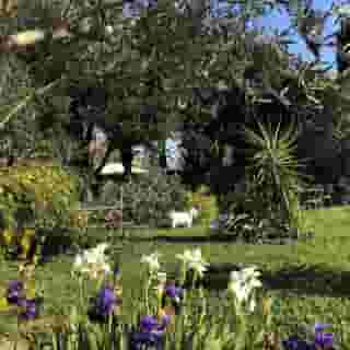 Aux Belles Vacances B B Only Adults, 5 of 5