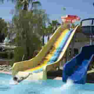 Trendy Palm Beach, 5 of 5