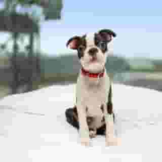 Radisson RED Hotel, Glasgow, 1 of 5