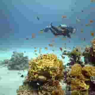 Sheraton Jeddah, 2 of 5