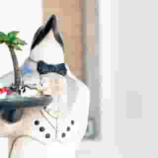 Penguin Hotel, 3 of 5