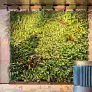 the DOUGLAS, Autograph Collection, 1 of 5