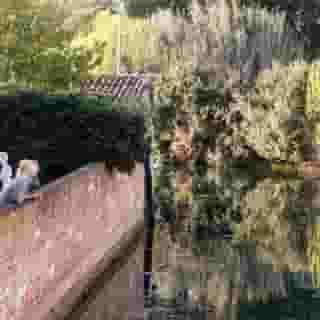 Relais Alberti, 5 of 5
