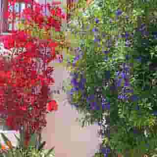 Amalthia Studios, 3 of 5