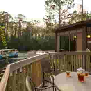 Disney's Saratoga Springs Resort & Spa, 5 of 5