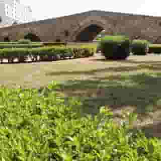 San Paolo Palace, 5 of 5