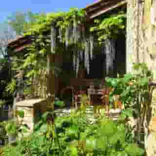 Palazzo Loup, 4 of 5