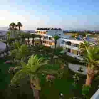 Tropical Sol, 3 of 5