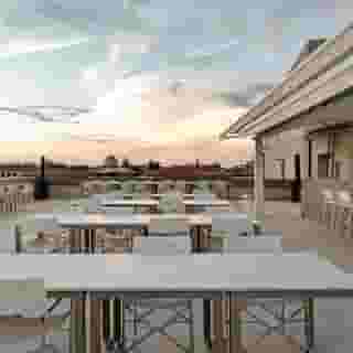 Rhinoceros Roma, 3 of 5