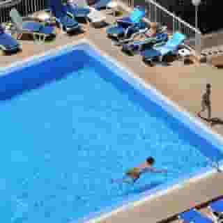 Dorisol Buganvilia, 2 of 5