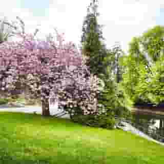 Mondorf Parc Hotel Superior, 2 of 5