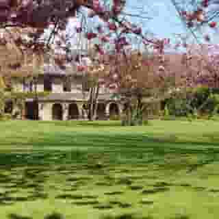 Le Friquet Country, 5 of 5