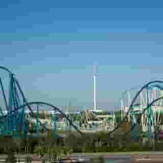 TownePlace Suites Orlando at SeaWorld, 2 of 5