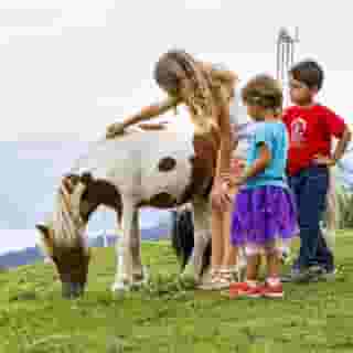 Hotel Sonnenberg, 1 of 5