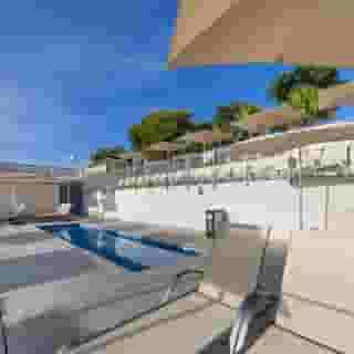 Globales Mimosa, 4 of 5