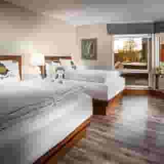 Staypineapple, Watertown, University District, 1 of 5