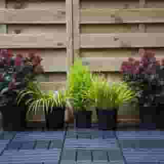 The Bedford Townhouse and Cafe, 5 of 5