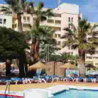 Alegria Fenix Family, 3 of 5