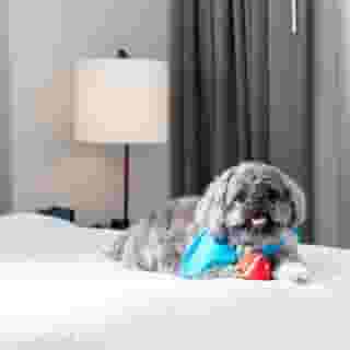 Residence Inn By Marriott Miami Aventura Mall, 2 of 5