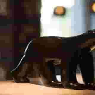 Hotel Catalpa, 3 of 5