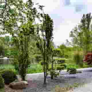 Element Amsterdam, 4 of 5