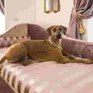 Trastevere Royal Suite, 4 of 5