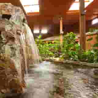 Best Western Premier Ashton Suites-Willowbrook, 5 of 5