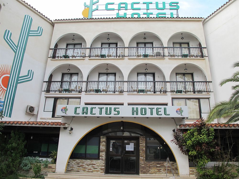 Cactus Hotel | atelier-yuwa.ciao.jp