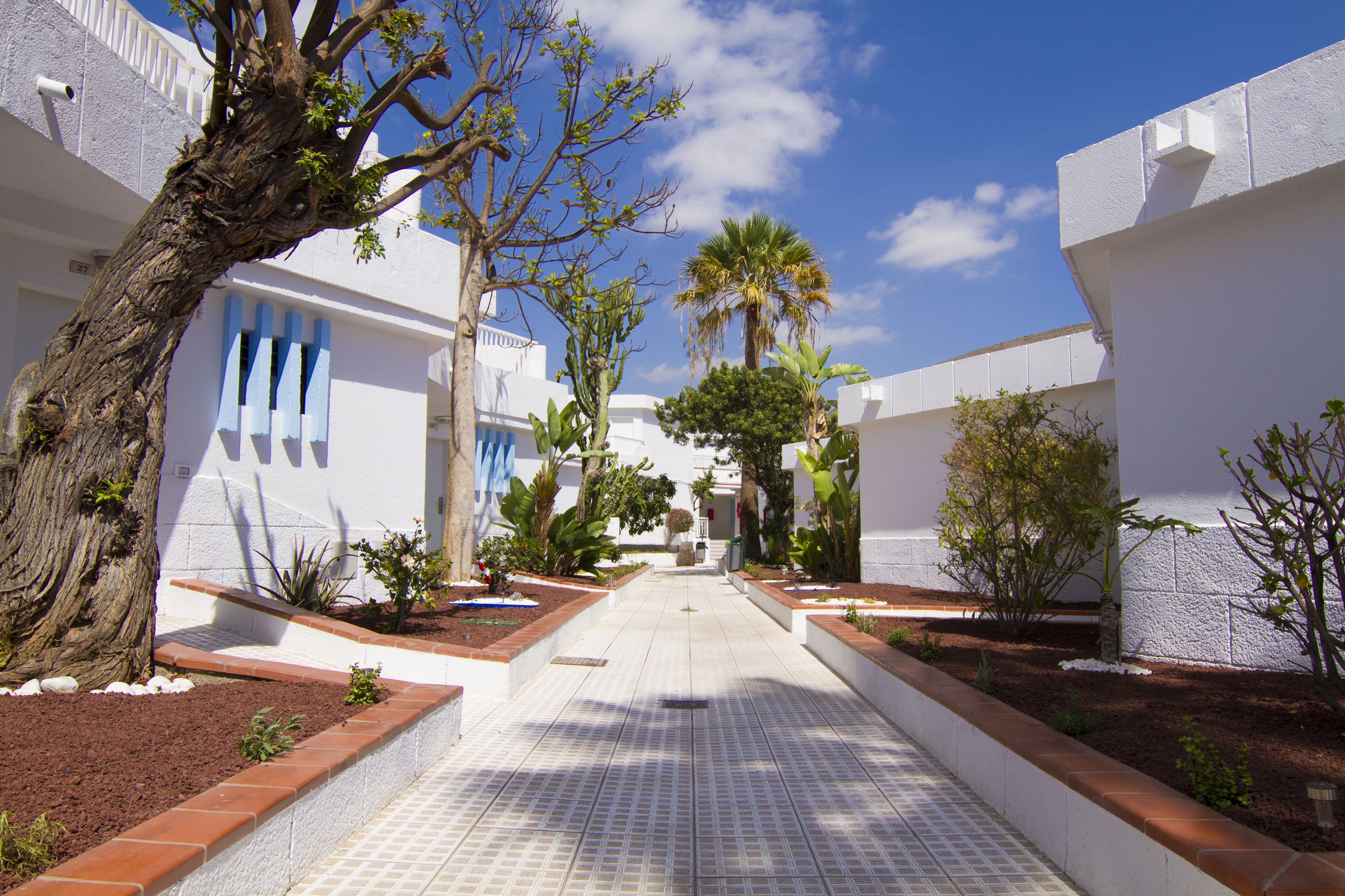 Checkin Bungalows Atlantida - Los Cristianos, Tenerife - On The Beach