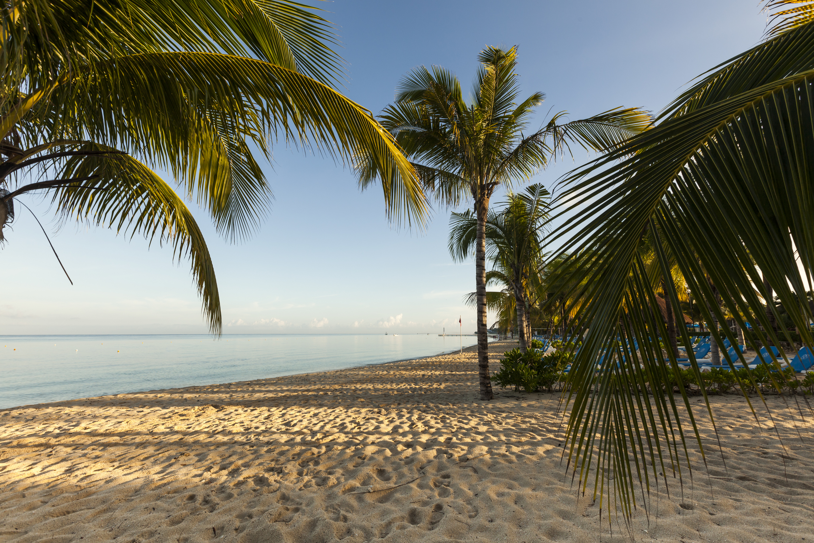 Allegro Cozumel - Cozumel, Riviera Maya - On The Beach